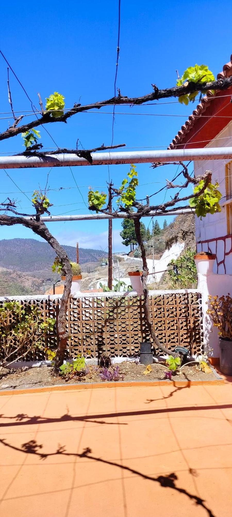 Casa Cueva Rural Trebola, Artenara Juncalillo Extérieur photo